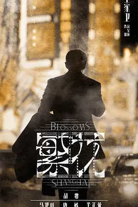 繁花(剧版) (2023) 