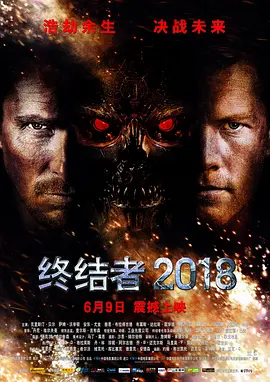 终结者4/终结者2018 (2009)