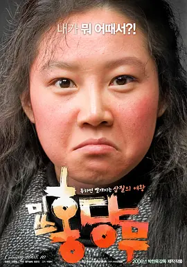 胡萝卜小姐 (2008)